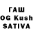 Бутират BDO Dima Kisilev