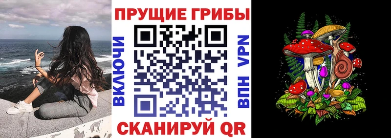 Псилоцибиновые грибы Cubensis  даркнет сайт  Улан-Удэ 