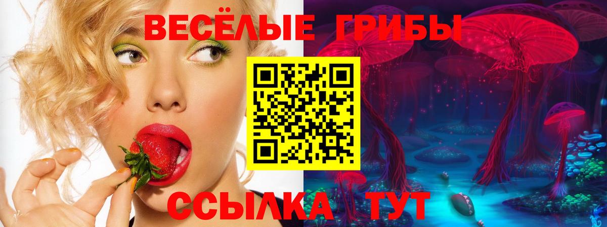 Псилоцибиновые грибы Psilocybe Улан-Удэ