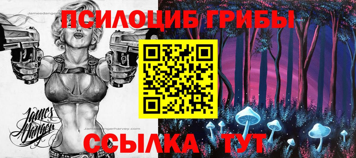 Улан-Удэ  Галлюциногенные грибы мицелий  Вход с VPN 
